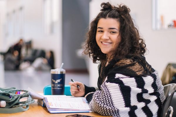 La formation professionnelle pour le développement et la carrière